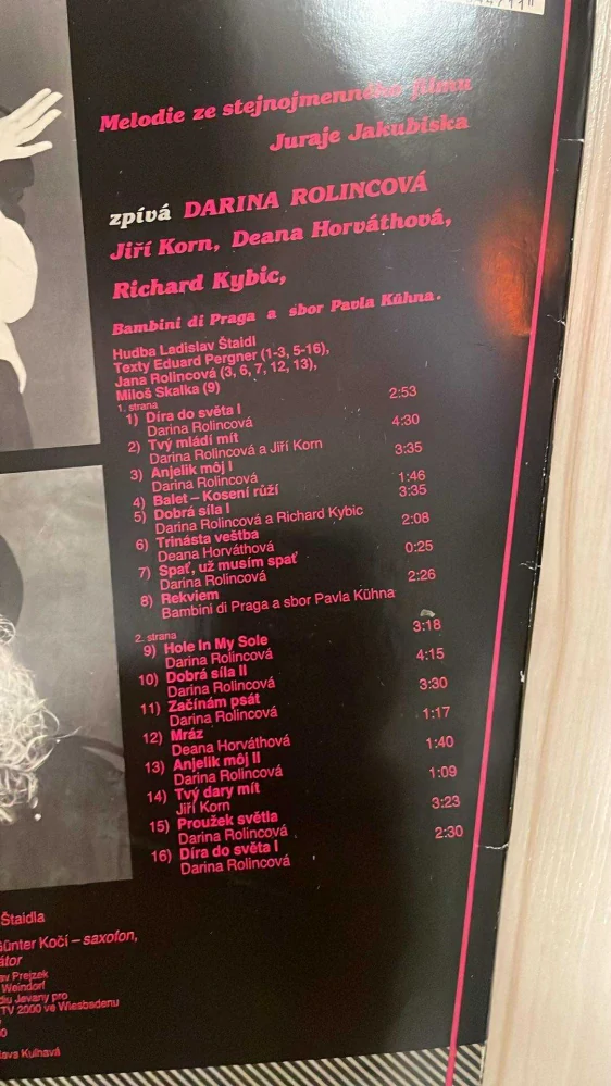 LP DARINA ROLINCOVÁ : TÉMĚŘ RŮŽOVÝ PŘÍBĚH