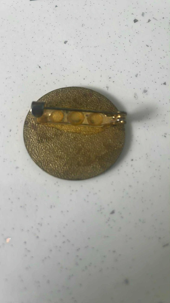 Odznak : VŠEOBECNÁ SESTRA