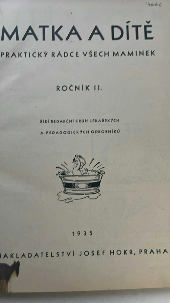 MATKA A DÍTĚ : PRAKTICKÝ RÁDCE VŠECH MAMINEK
