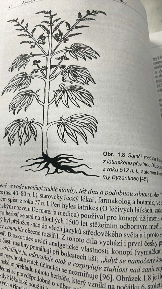 MICHAL MIOVSKÝ A KOLEKTIV : KONOPÍ A KONOPNÉ DROGY