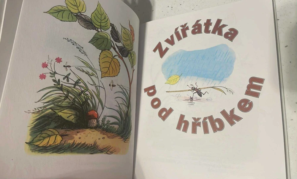 V. SUTĚJEV : POHÁDKY SE ZVÍŘÁTKY