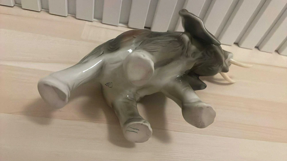 ROYAL DUCHCOV : SLON