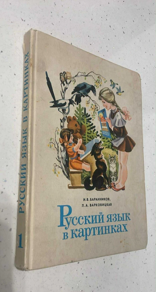 Ruský jazyk v obrazech - Ruskij jazyk v kartinkach