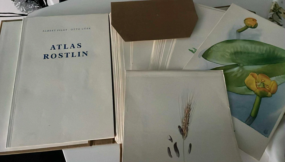 Albert Pilát - Otto Ušák : ATLAS ROSTLIN