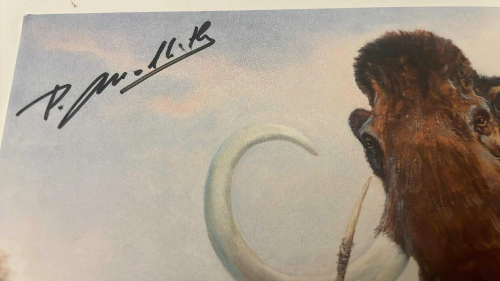 SBĚRATELSKÁ POHLEDNICE PRAVĚK : PETR MODLITBA