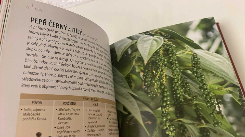 GILL DAVIESOVÁ : KOŘENÍ