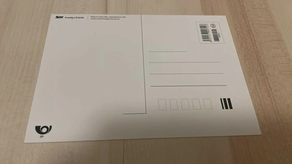 POHLEDNICE : KOŤÁTKO