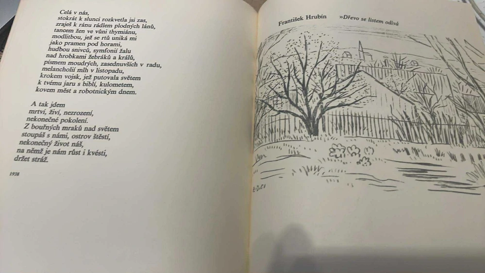 VIKTOR DYK - JOSEF HORA - FRANTIŠEK HRUBÍN : TŘI ZPĚVY