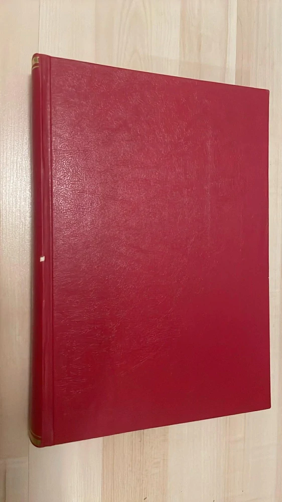 Praktická žena 1980