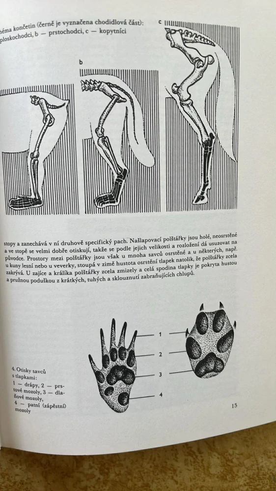 MIROSLAV BOUCHNER : POZNÁME JE PODLE STOP