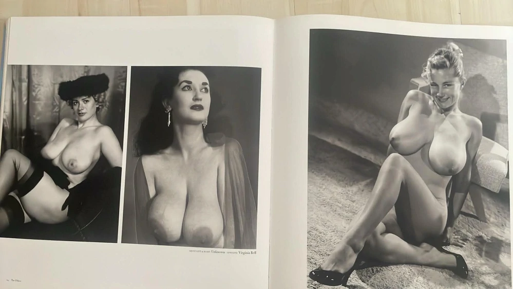 The Big BOOK of Breasts