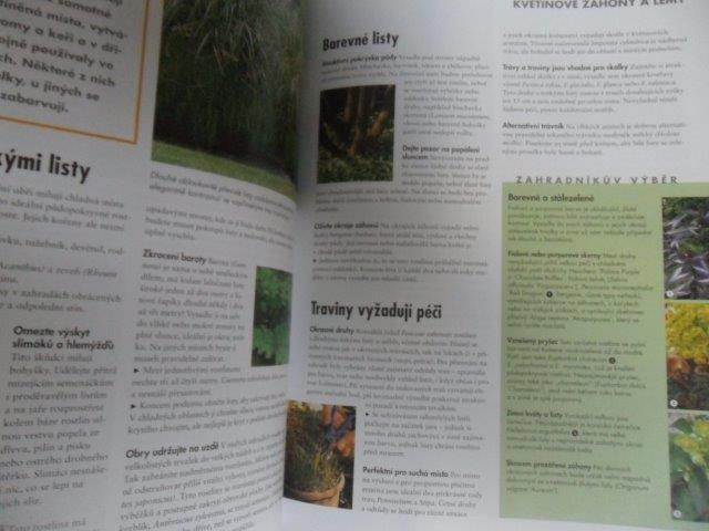 KAYLA OLSONOVÁ - HRADY Z PÍSKU