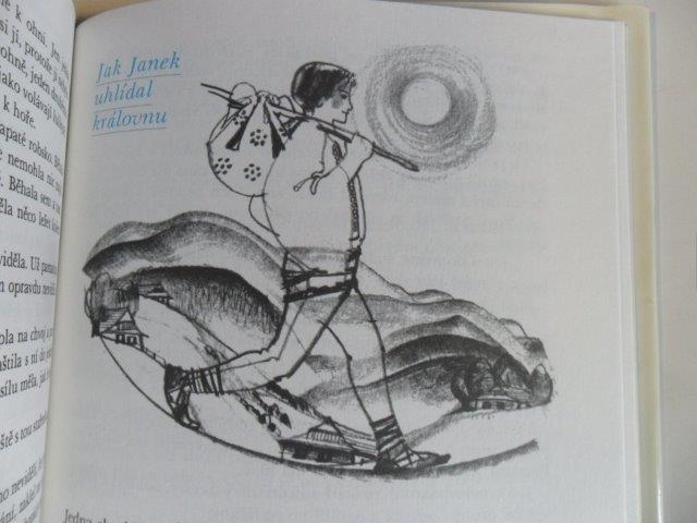 JOSEF STRNADEL - ZAMRZLÁ STUDÁNKA