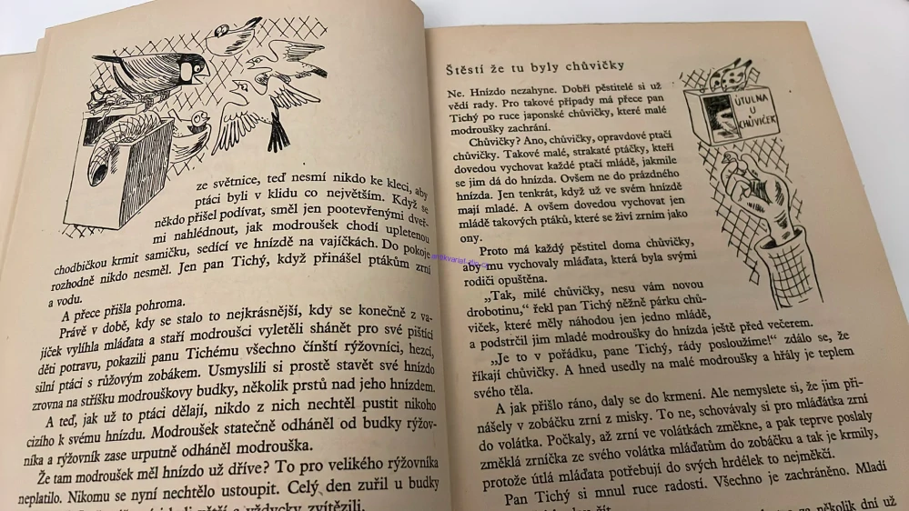 O. SEKORA - UPRCHLÍK NA PTAČÍM STROMĚ