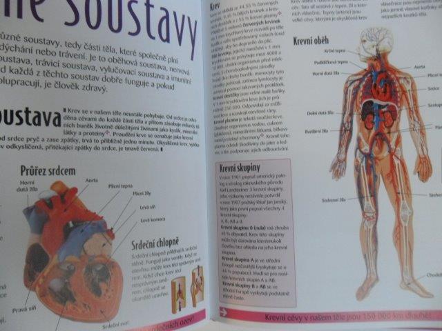 ATLAS PRO MLÁDEŽ VĚDA A OBJEVY - LIDSKÉ TĚLO