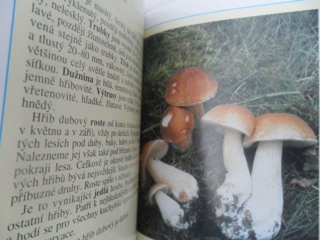 M. SMOTLACHA - KAPESNÍ ATLAS HUB