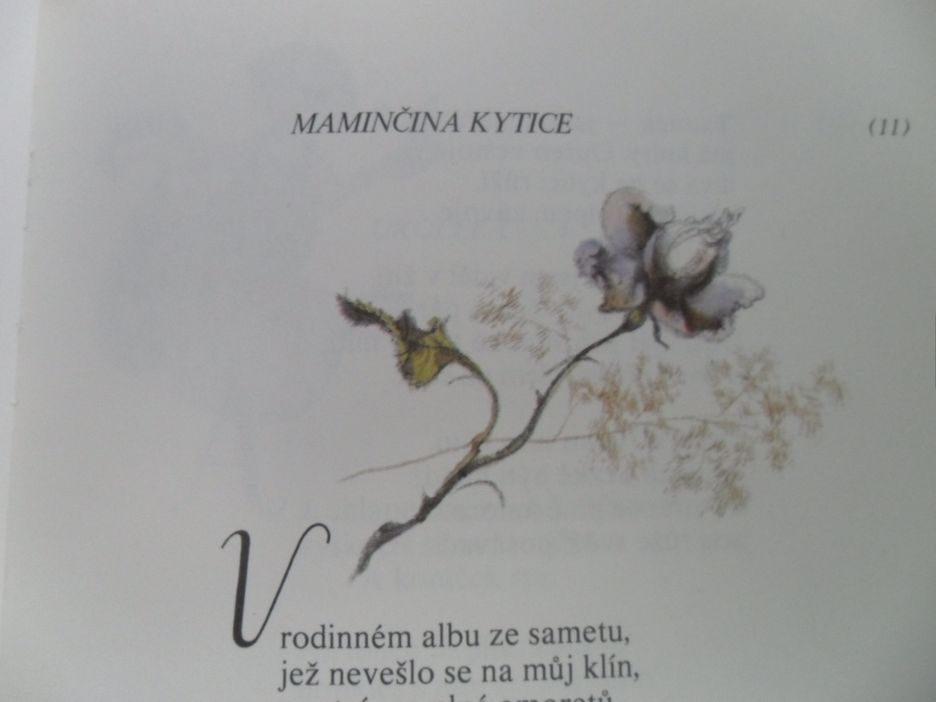 J. SEIFERT, J. TRNKA - MAMINKA 