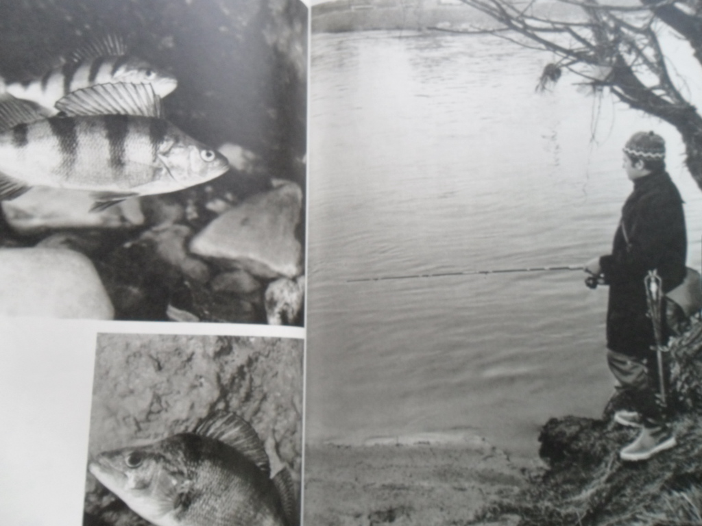 JAN RYS - RYBÁŘI SNŮ A SKUTEČNOSTI