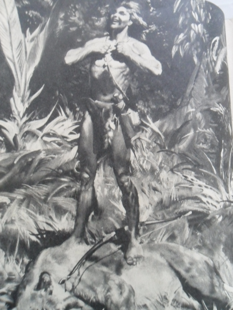 EDGAR RICE BURROUGHS - TARZAN (SYN DIVOČINY)
