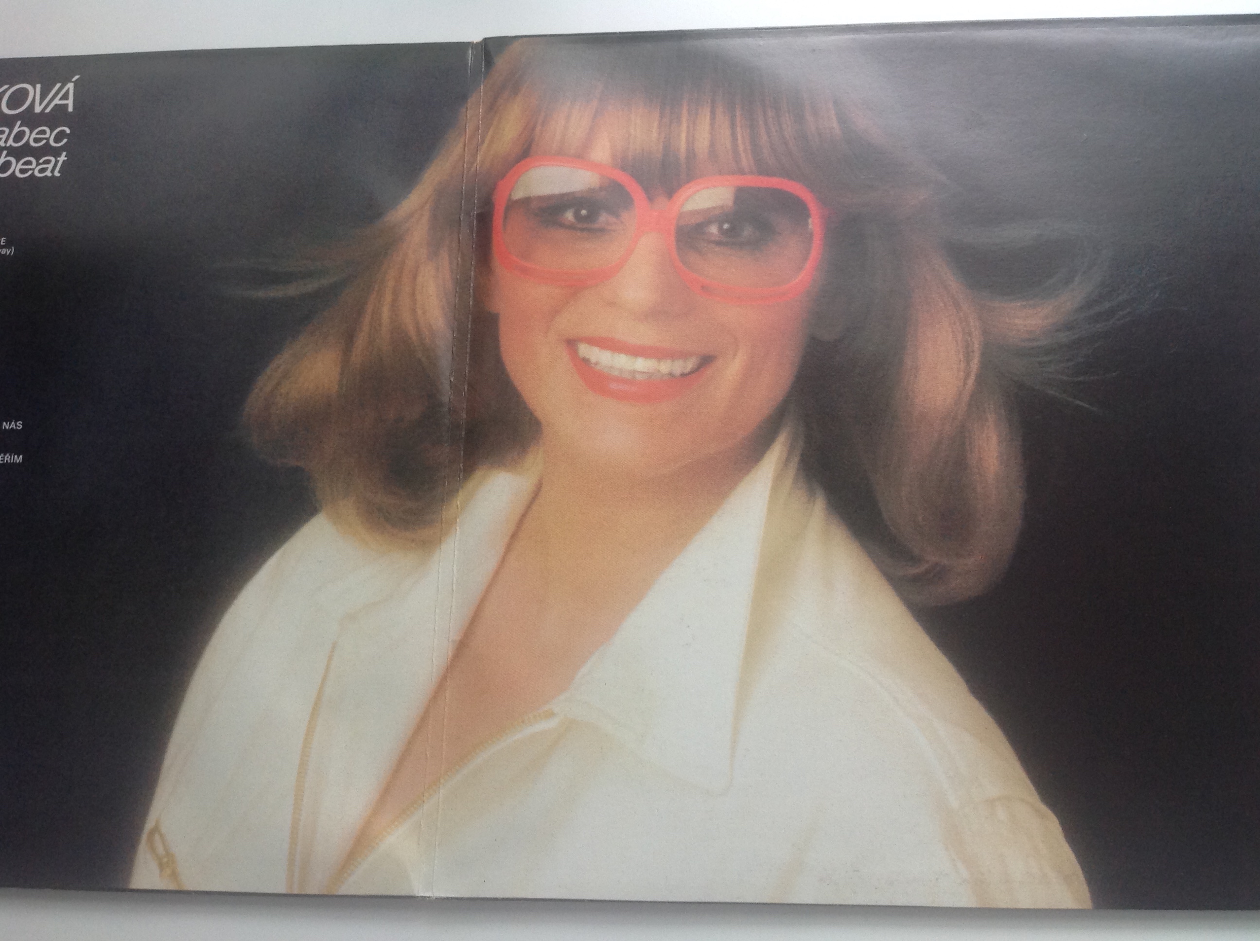 2 LP DESKY - NAĎA URBÁNKOVÁ, JIŘÍ BRABEC  & COUNTRY BEAT