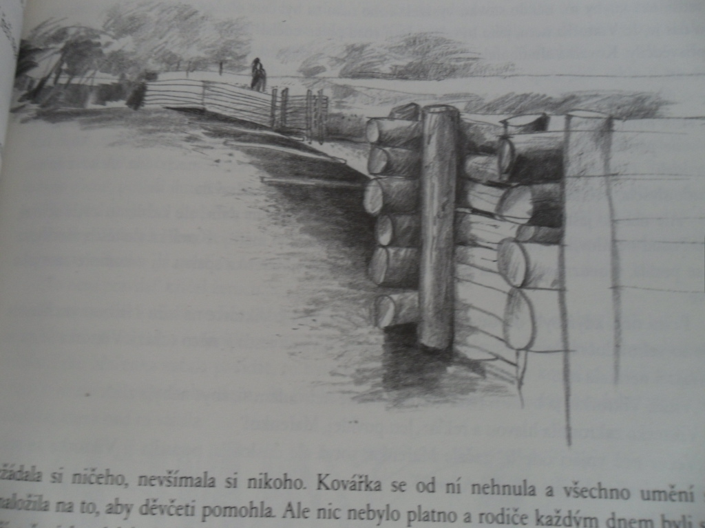 B. NĚMCOVÁ - BABIČKA ( Ilustrace - VLADIMÍR TESAŘ)