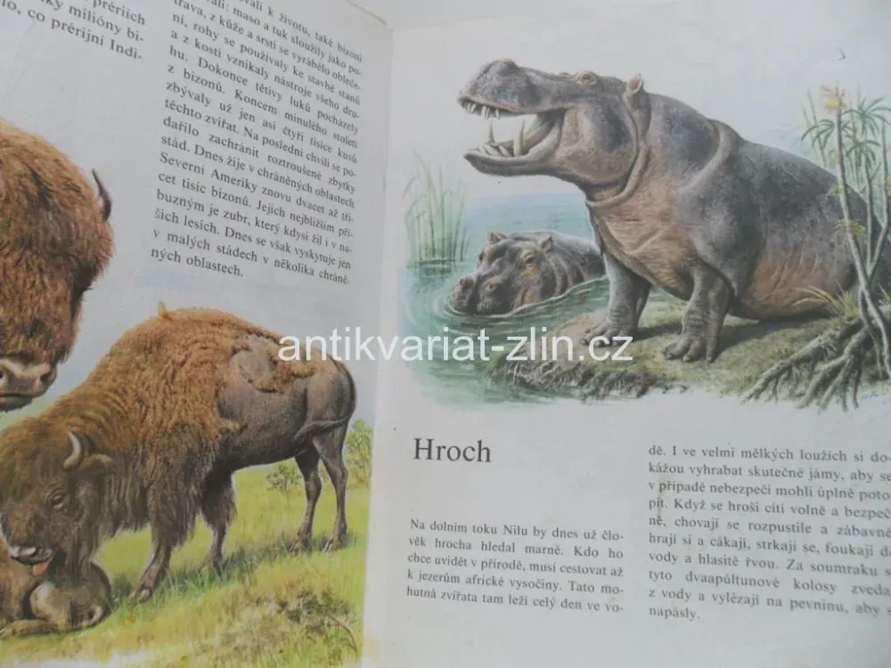 E. W. BAUER - MŮJ BAREVNÝ ATLAS ZVÍŘAT