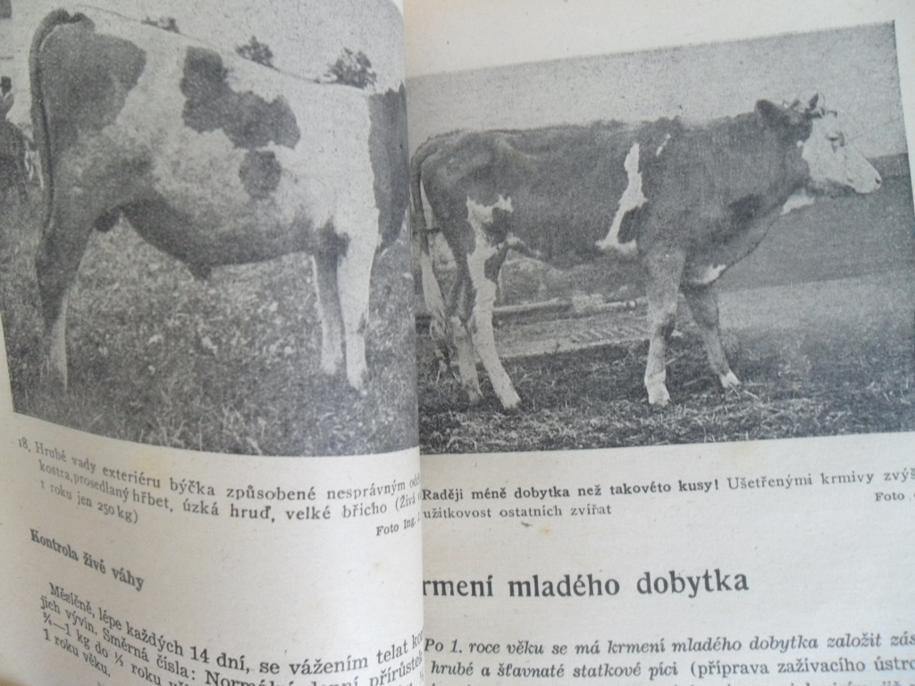 FRANTIŠEK SVOBODA - MALÁ KRMNÁ TECHNIKA