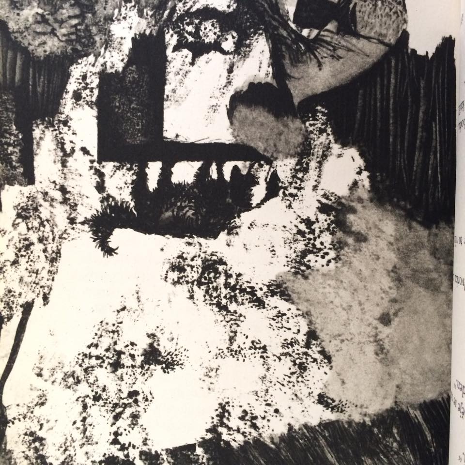 JAN PROCHÁZKA - AŤ ŽIJE REPUBLIKA (ILUSTRACE - JIŘÍ TRNKA)