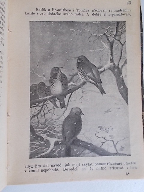 OBRAZOVÁ ČÍTANKA PRO MLADÉ PŘÁTELE ZVÍŘAT