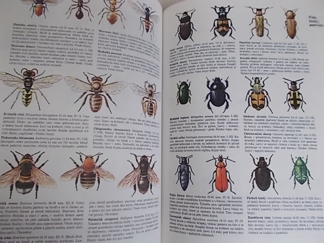 JIŘÍ ČÍHAŘ : PŘÍRODA V ČSSR