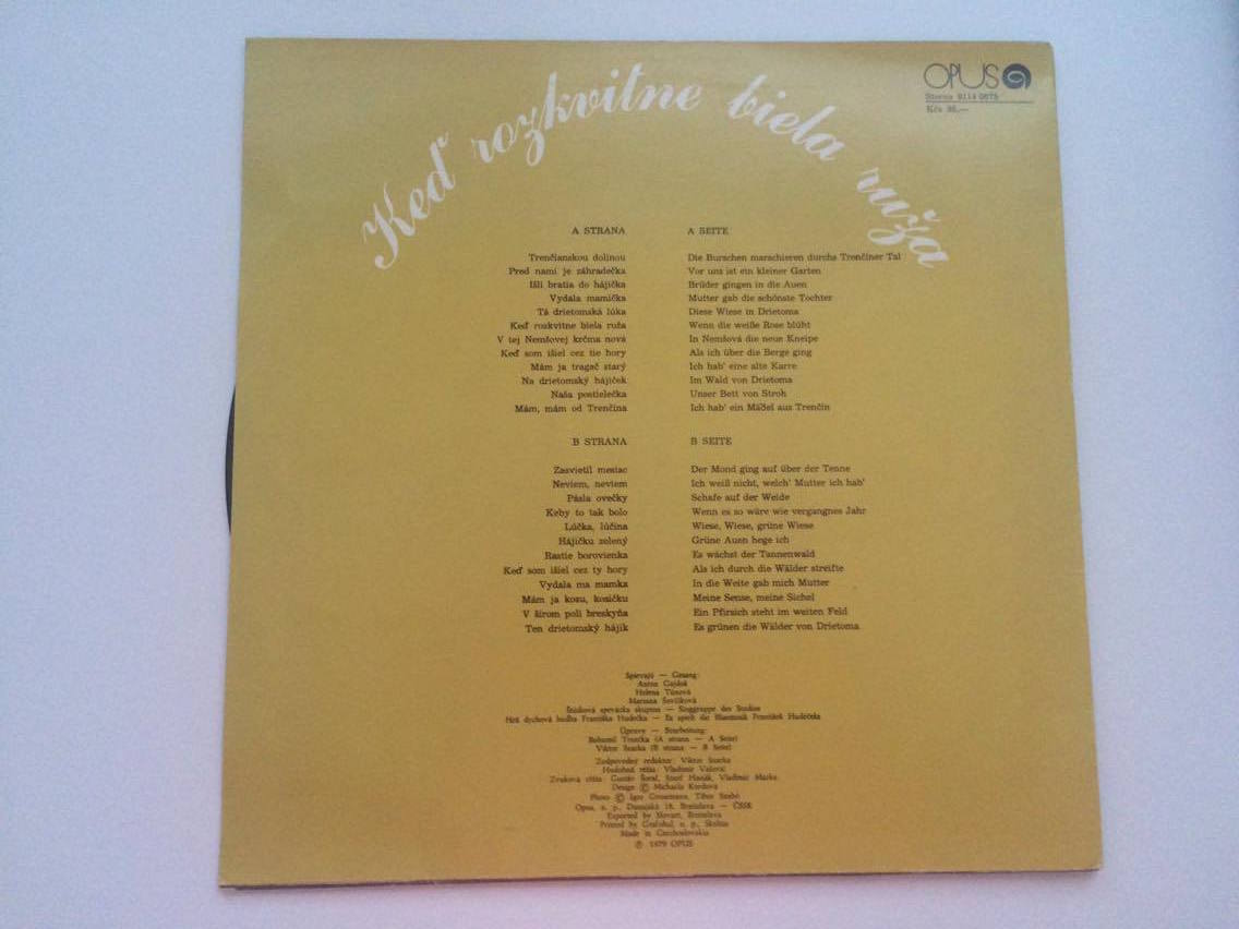 LP KEĎ ROZKVITNE BIELA RUŽA