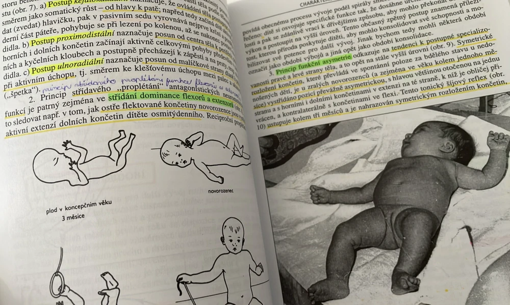 J. LANGMEIER, D. KREJČÍŘOVÁ -   Vývojová psychologie  