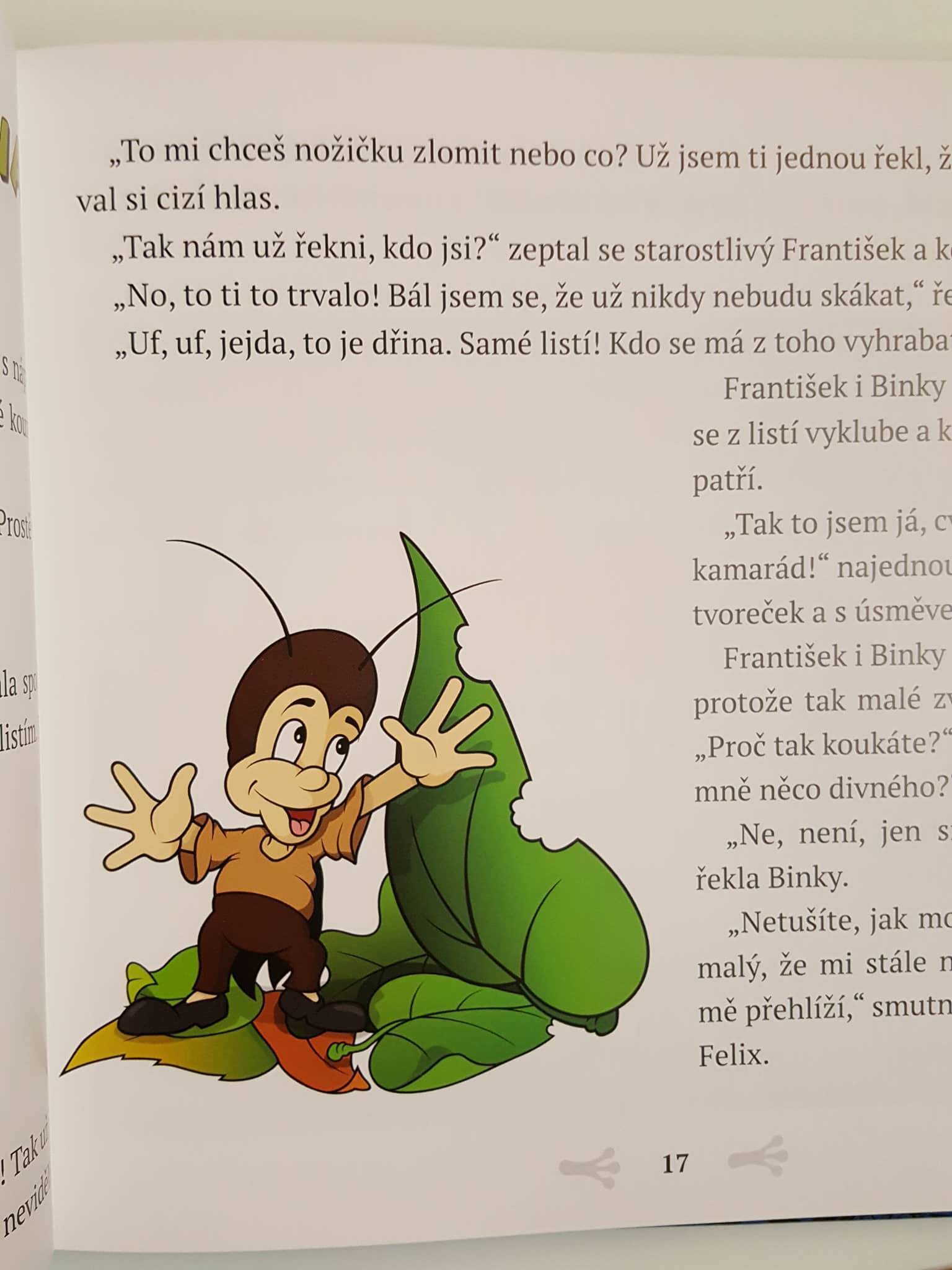 BINKY A KOUZELNÁ KNIHA