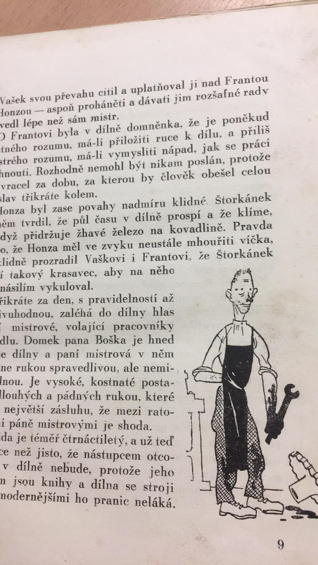 Vítězslav Šmejc - Tygr pana Boška