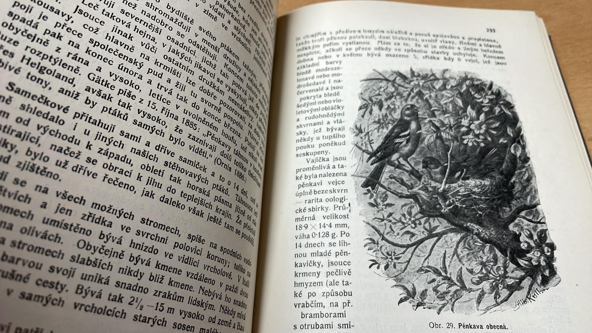 Karel Kněžourek - Velký atlas ptáků