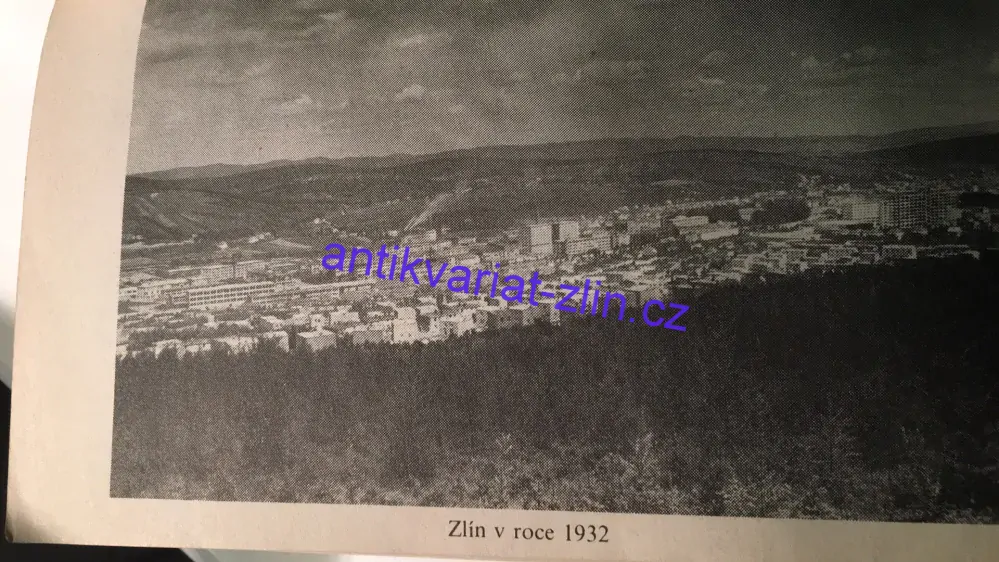 Antonín Cekota - Geniální podnikatel Tomáš Baťa
