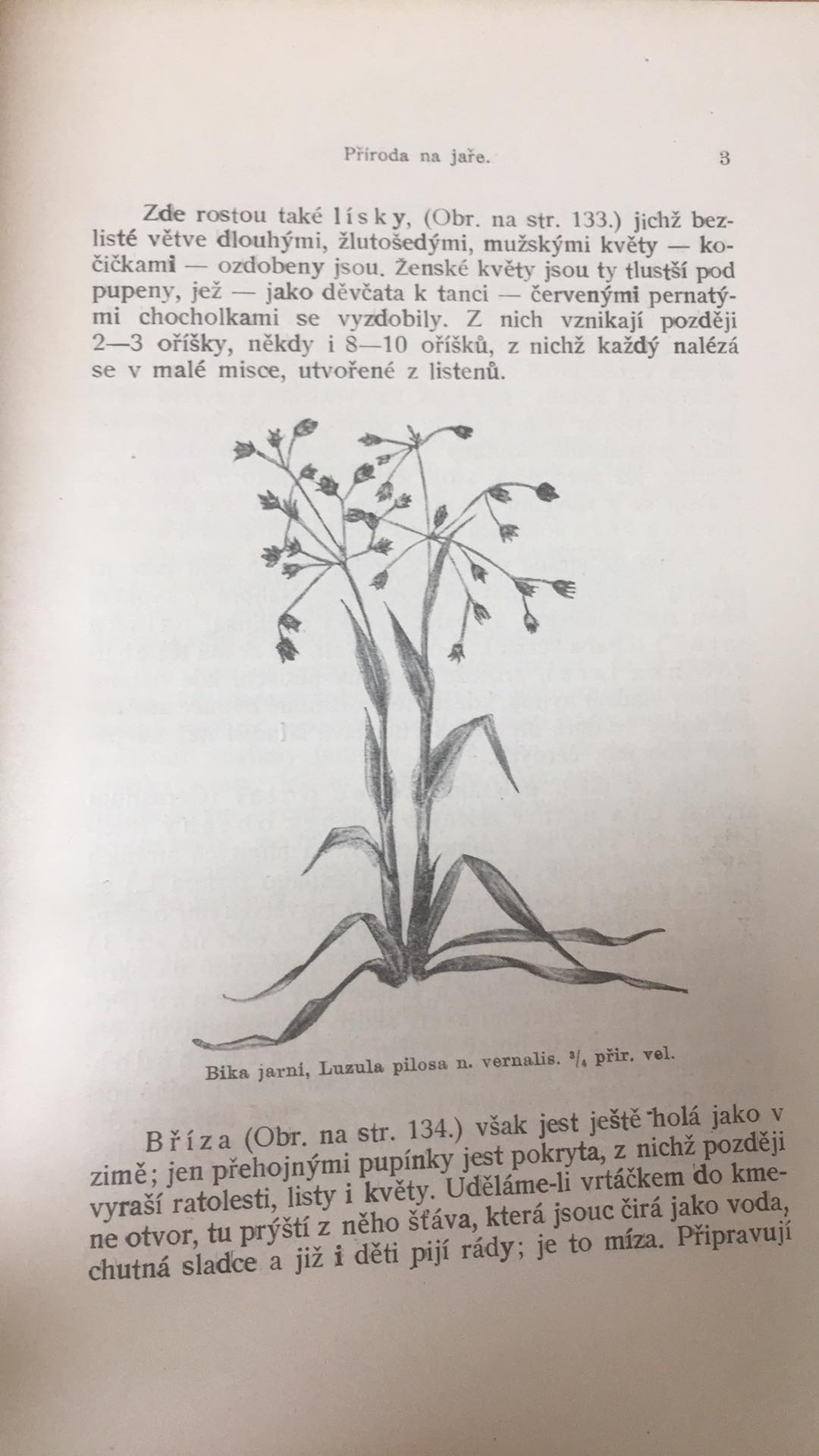 LANDSBERG - GEISSLER LESEM A NIVOU