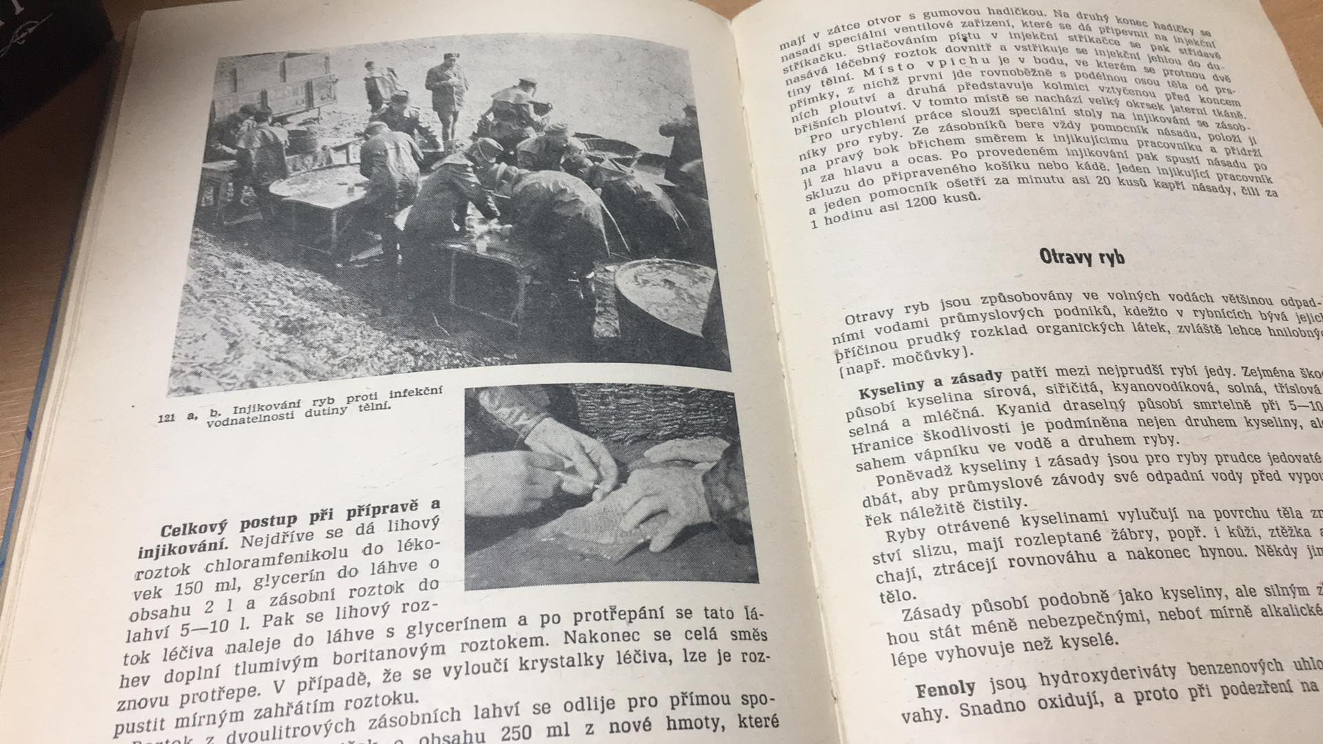 EGERT - ŠTĚDRONSKÝ - ZÁKLADY RYBÁŘSTVÍ