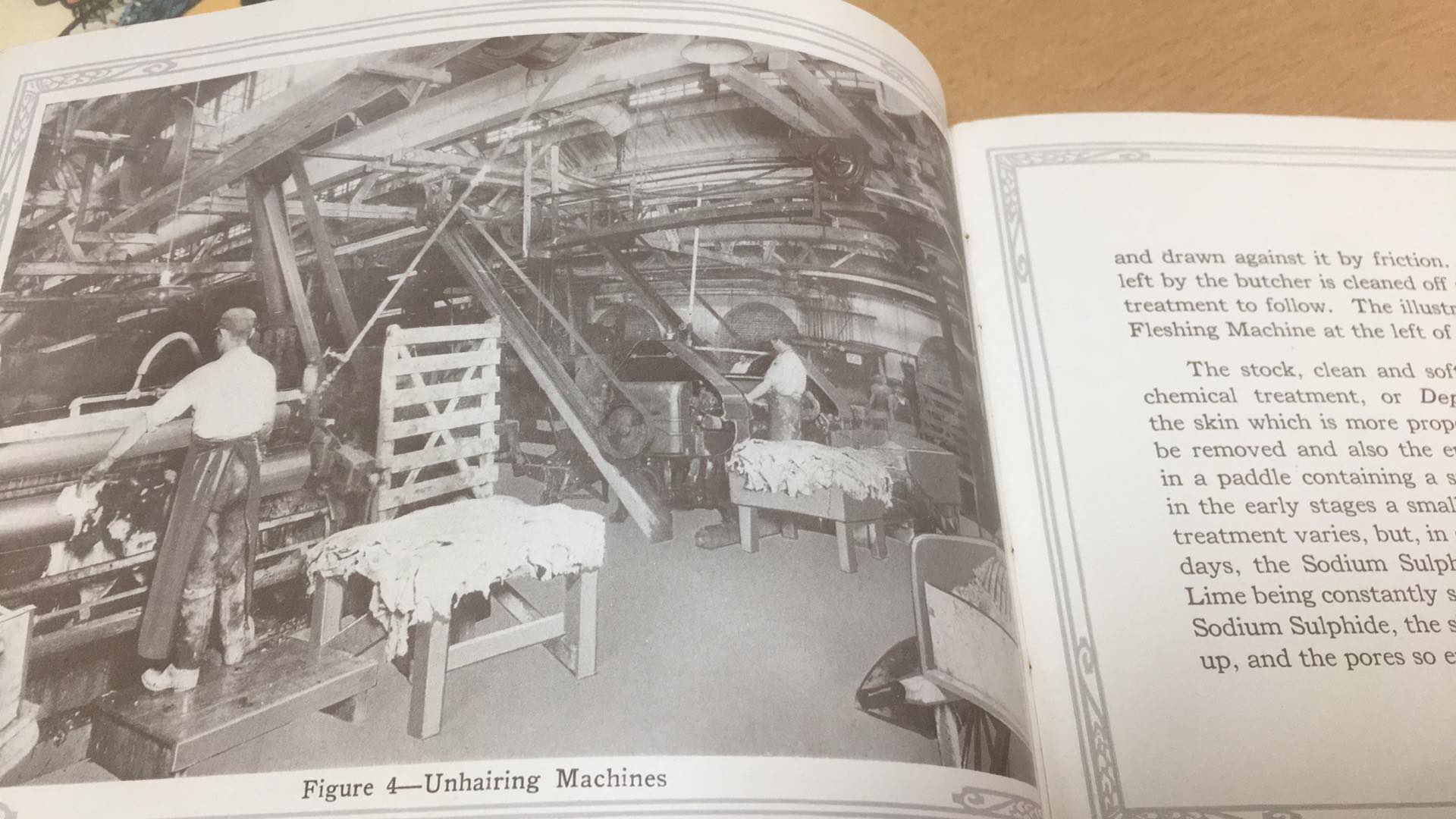 THE STORY OF LEATHER