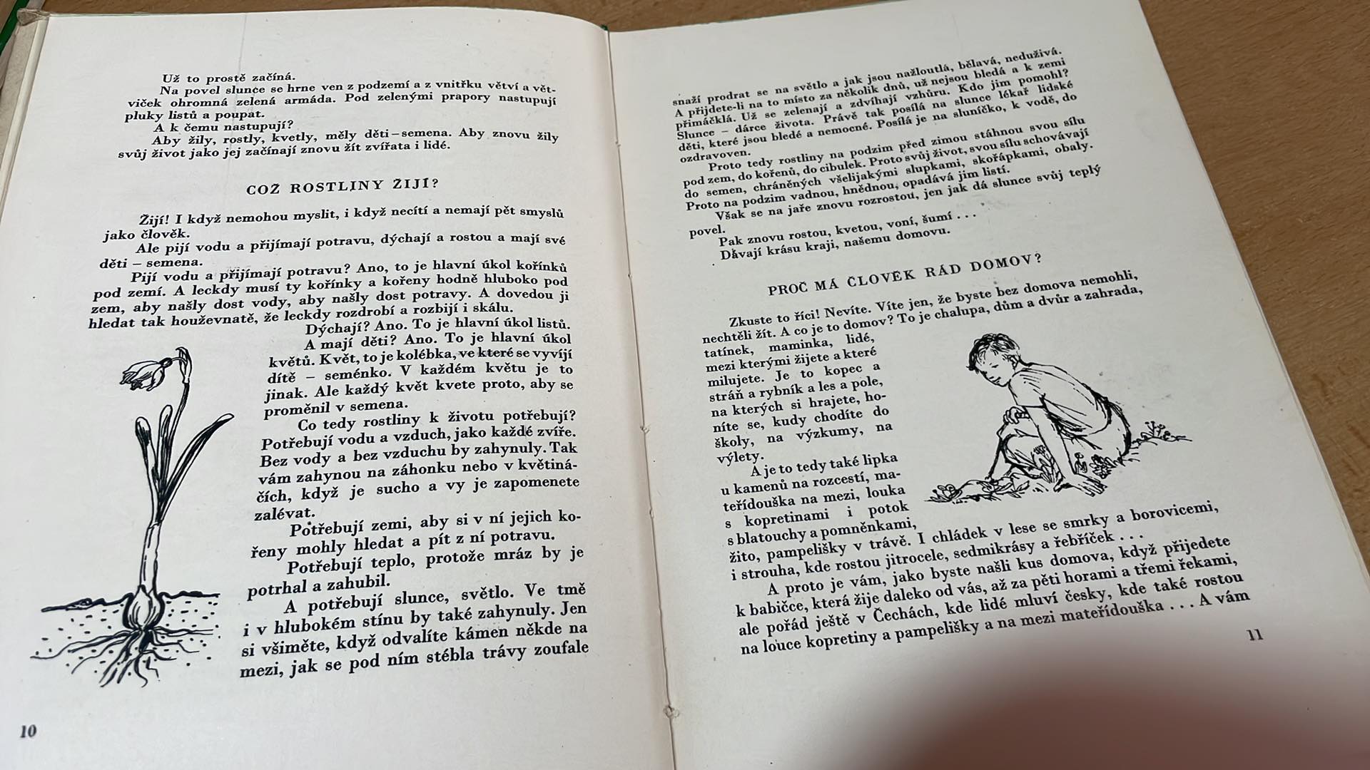 JOSEF NERUDA - POZNÁŠ JE, KDYŽ KVETOU?