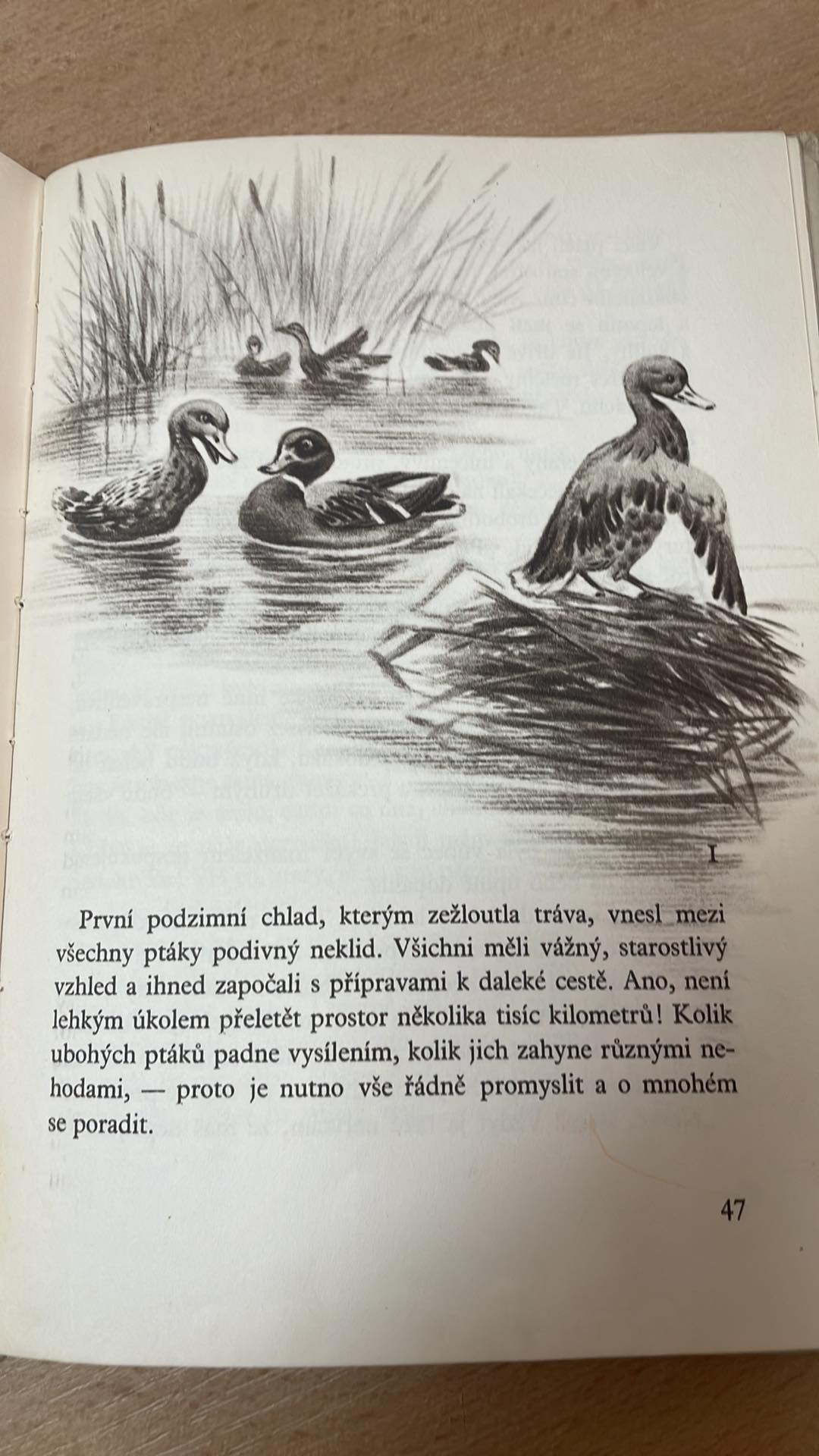 DMITRIJ NARKOSOVIC MANIN - SIBIRJAK : ŠEDOKRAČKY