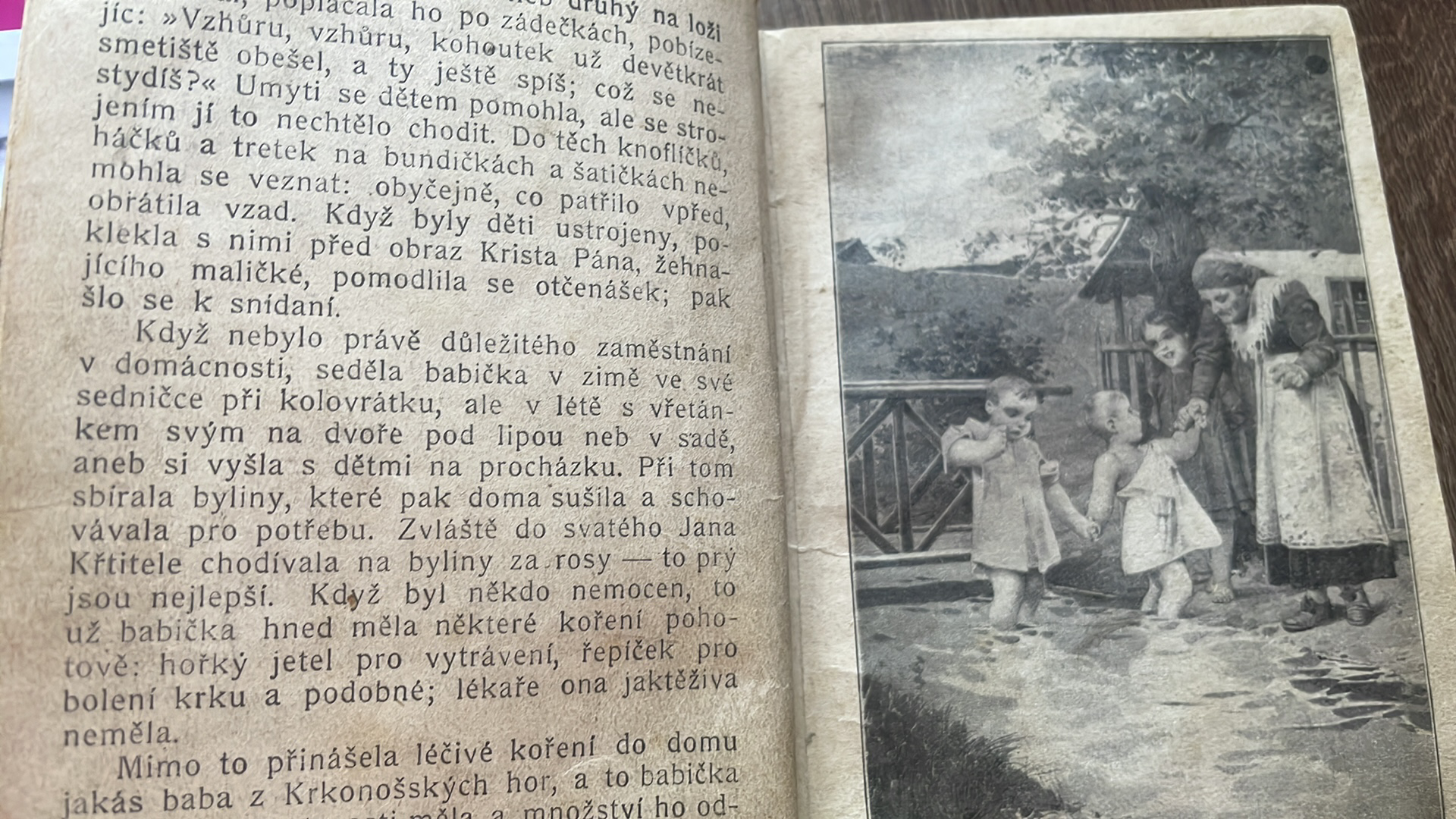 BOŽENA NĚMCOVÁ - BABIČKA