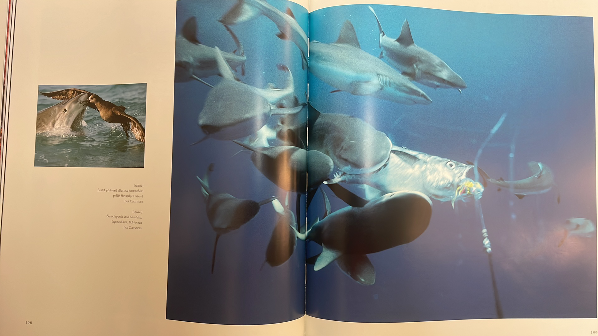 JOHN G. MITCHELL - NATIONAL GEOGRAPHIC divoká příroda ve fotografii