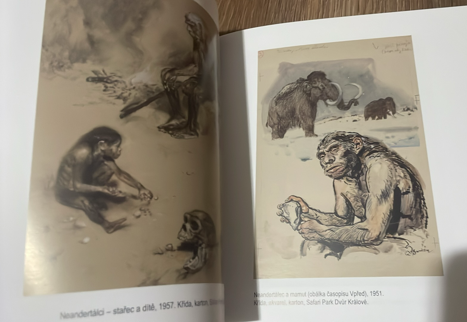 ZDENĚK BURIAN - ZA DIVY SVĚTA A PRASVĚTA