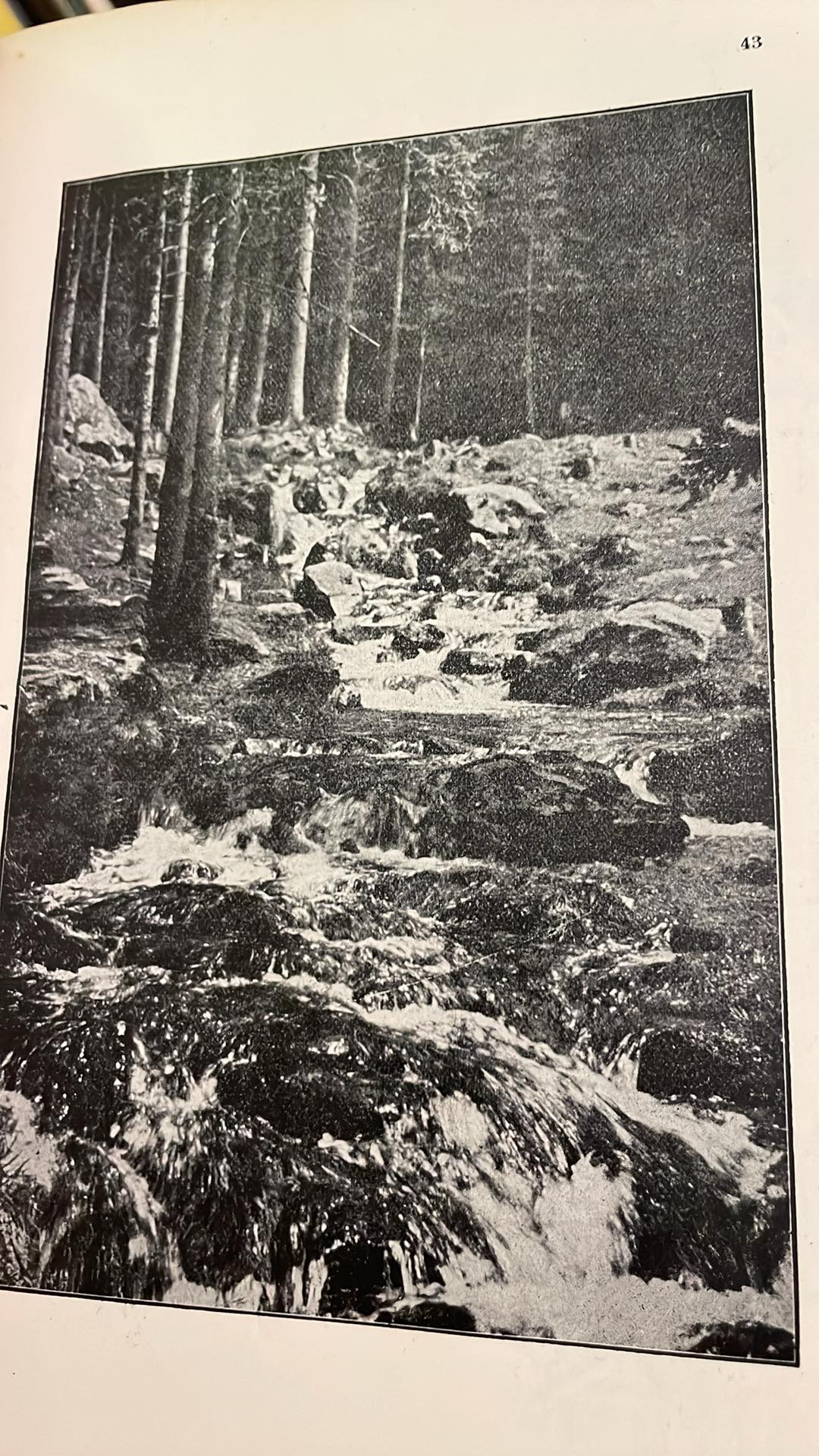 ST. REINIŠ : Z ČAROVNÉ PŘÍRODY