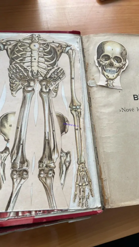 BILZOVO NOVÉ LÉČENÍ