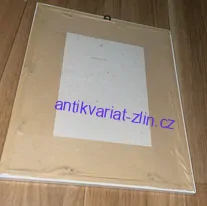 ŠIMLÍKOVÁ RENÁTA : MYSTERY