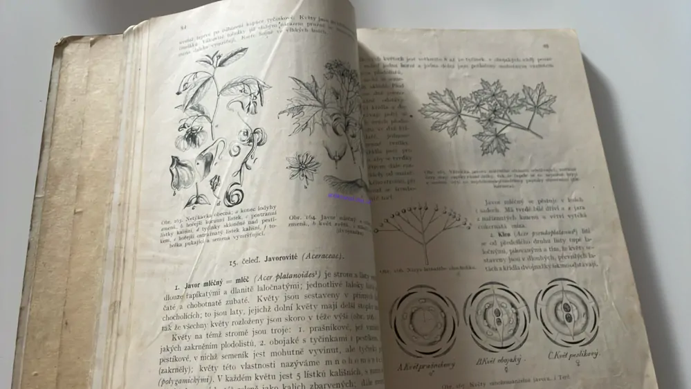 ROSTLINOPIS PRO NIŽŠÍ ODDĚLENÍ STŘEDNÍCH ŠKOL