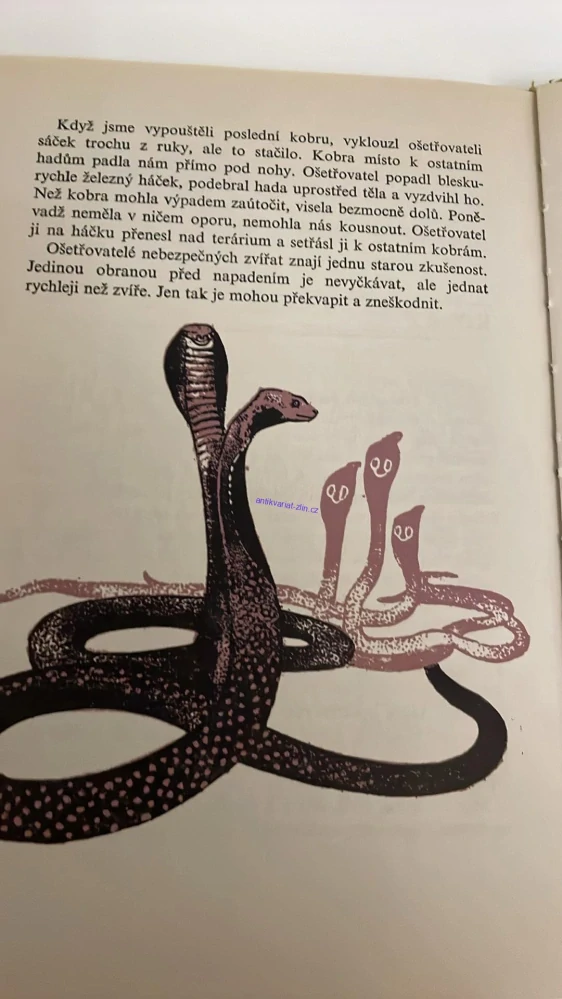 JIŘÍ FELIX : PŘÍBĚHY Z PRAŽSKÉ ZOO