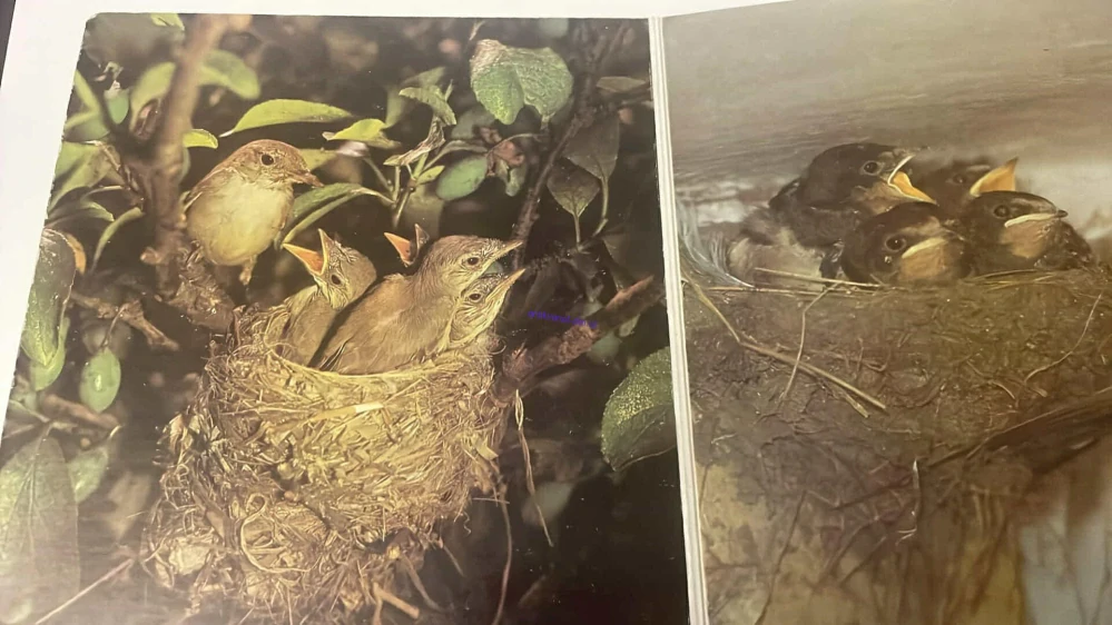 LEPORELO - KDE BYDLÍ ZVÍŘATA?